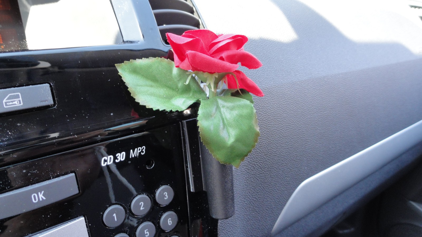 Kleine rote Rose mit Auto Vase Blumenvase und Halterung