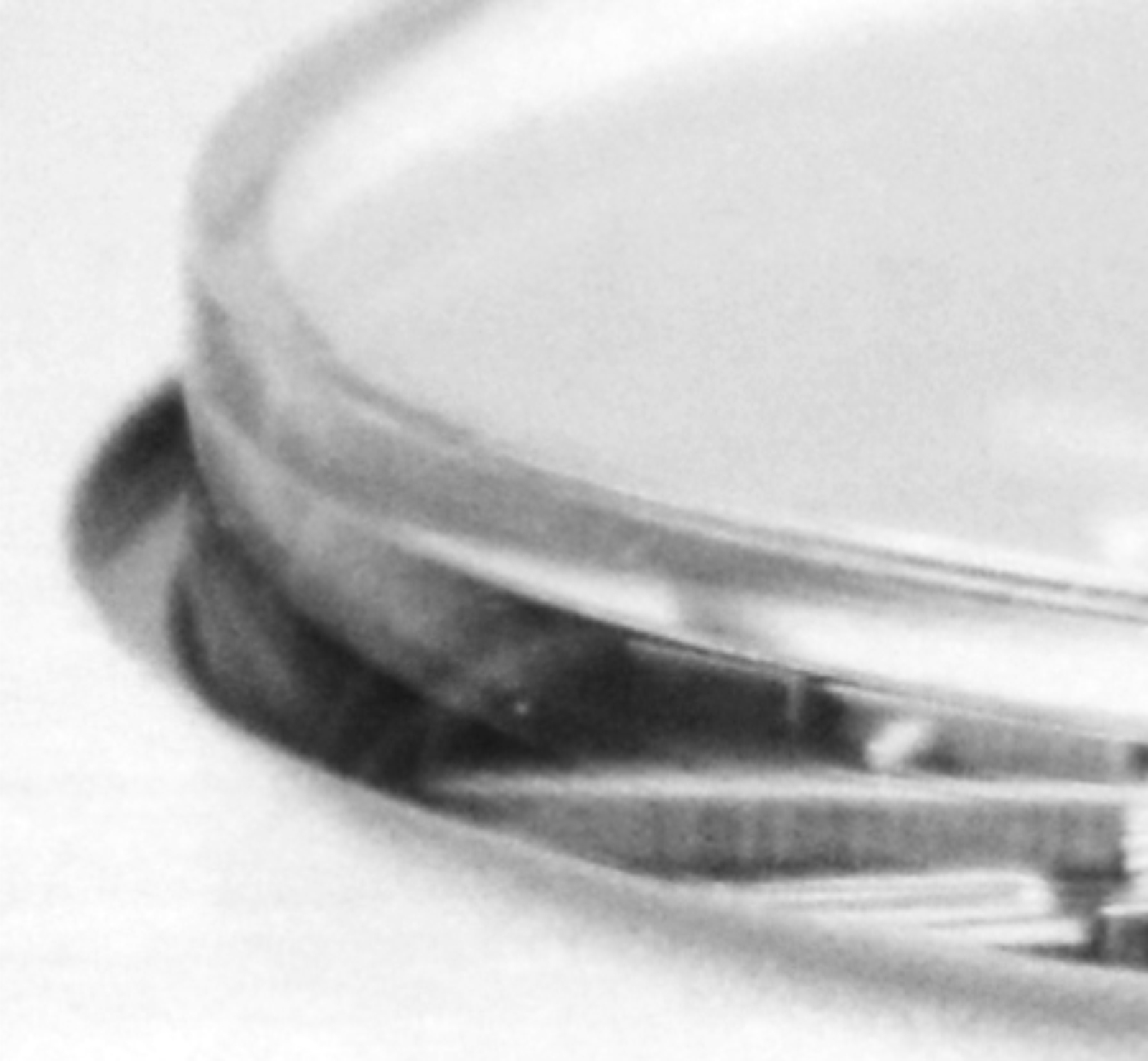 Bimetall Thermometer 8,4 cm mit Ständer