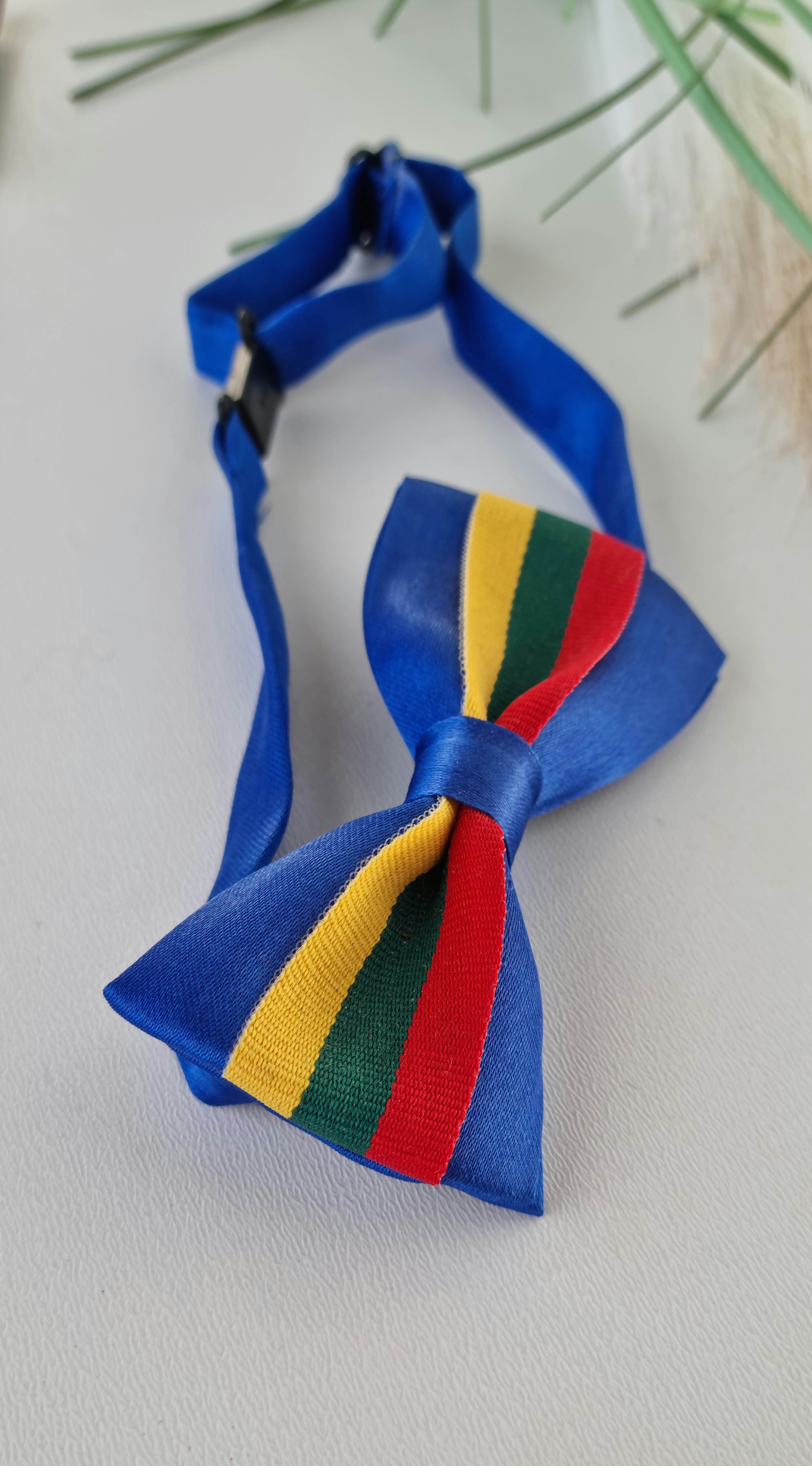 Peteliškė LT mėlyna vaikams / Nr.001