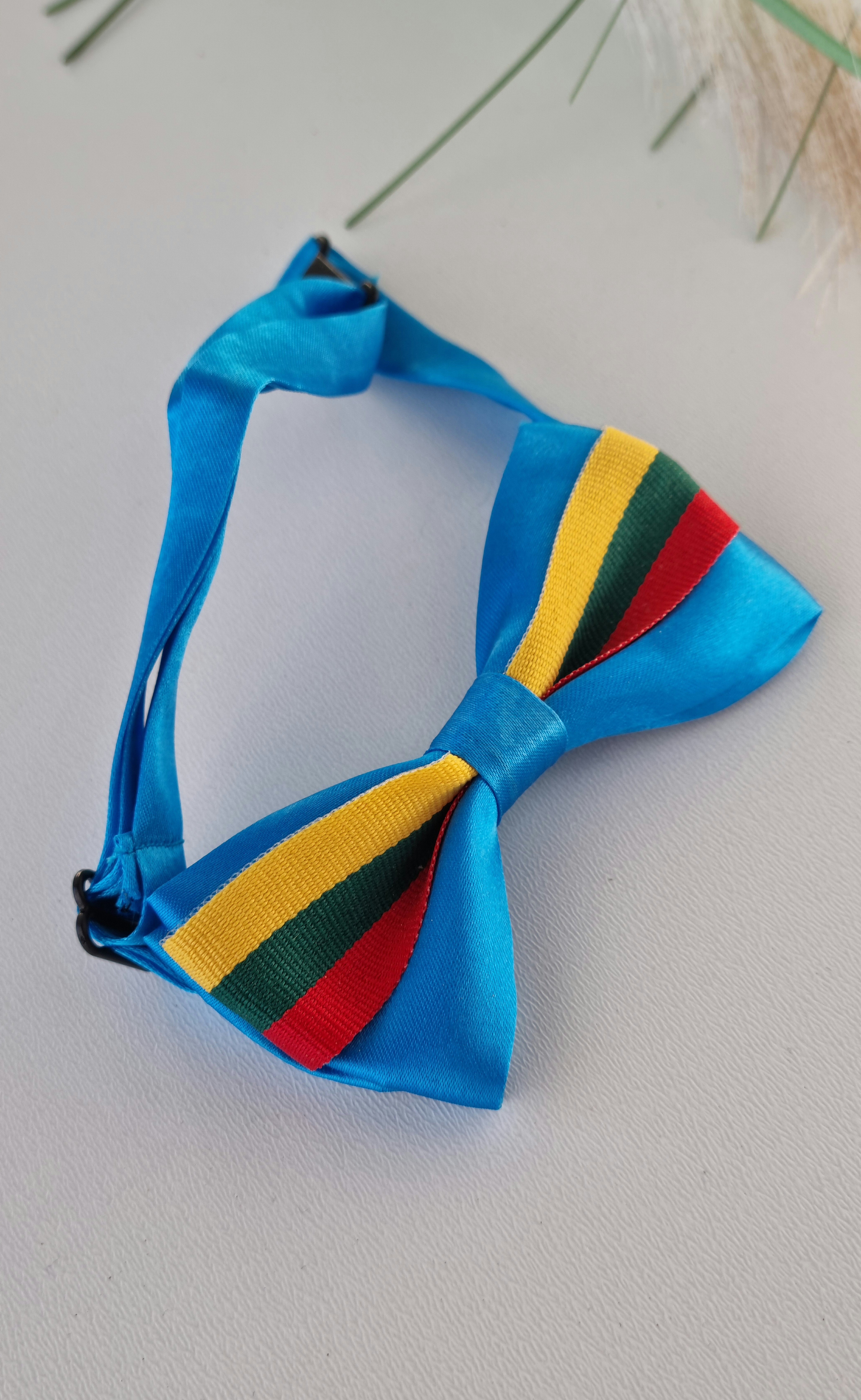 Peteliškė LT žydra vaikams / Nr.004