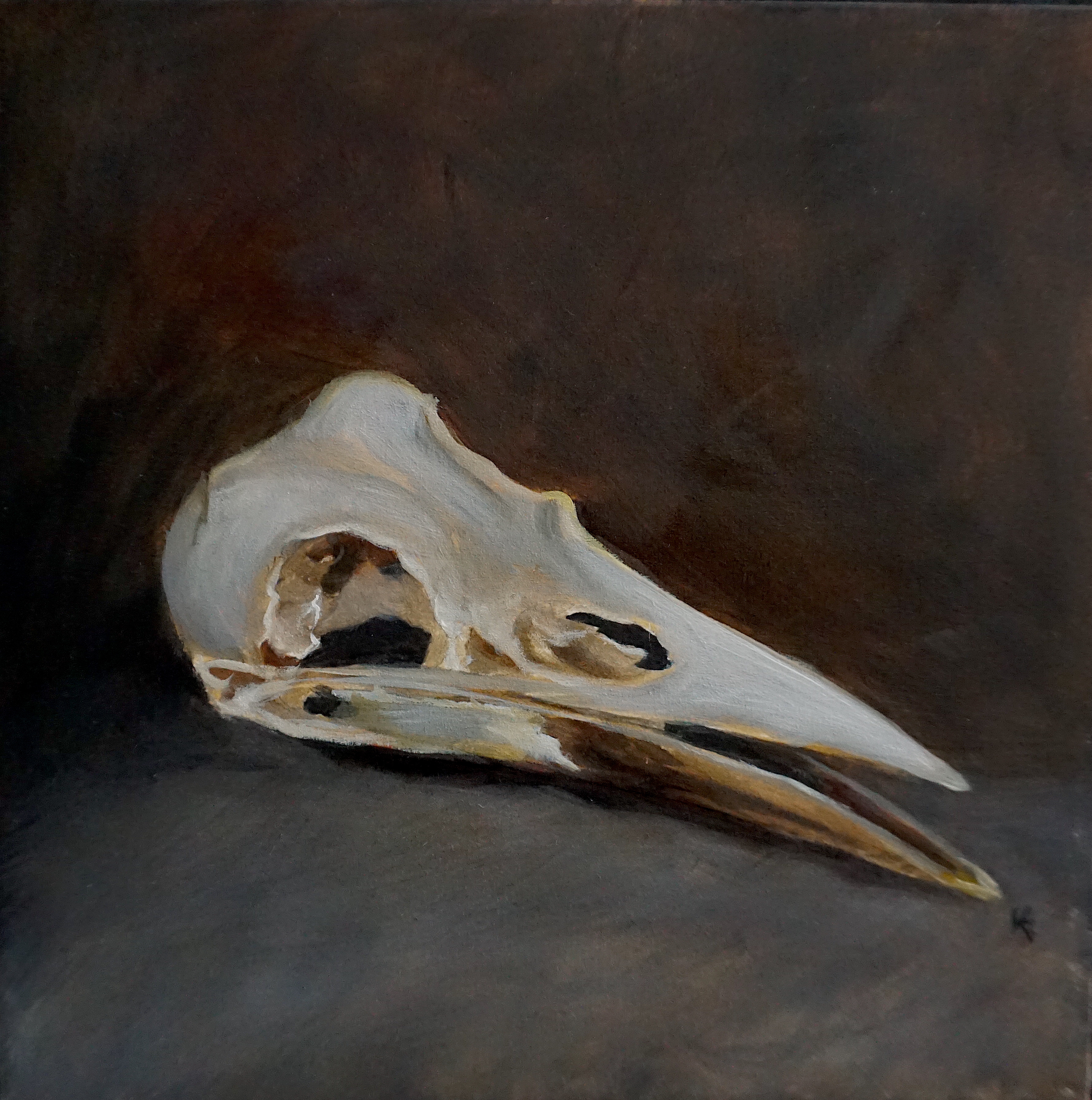 Rook Skull Still Life