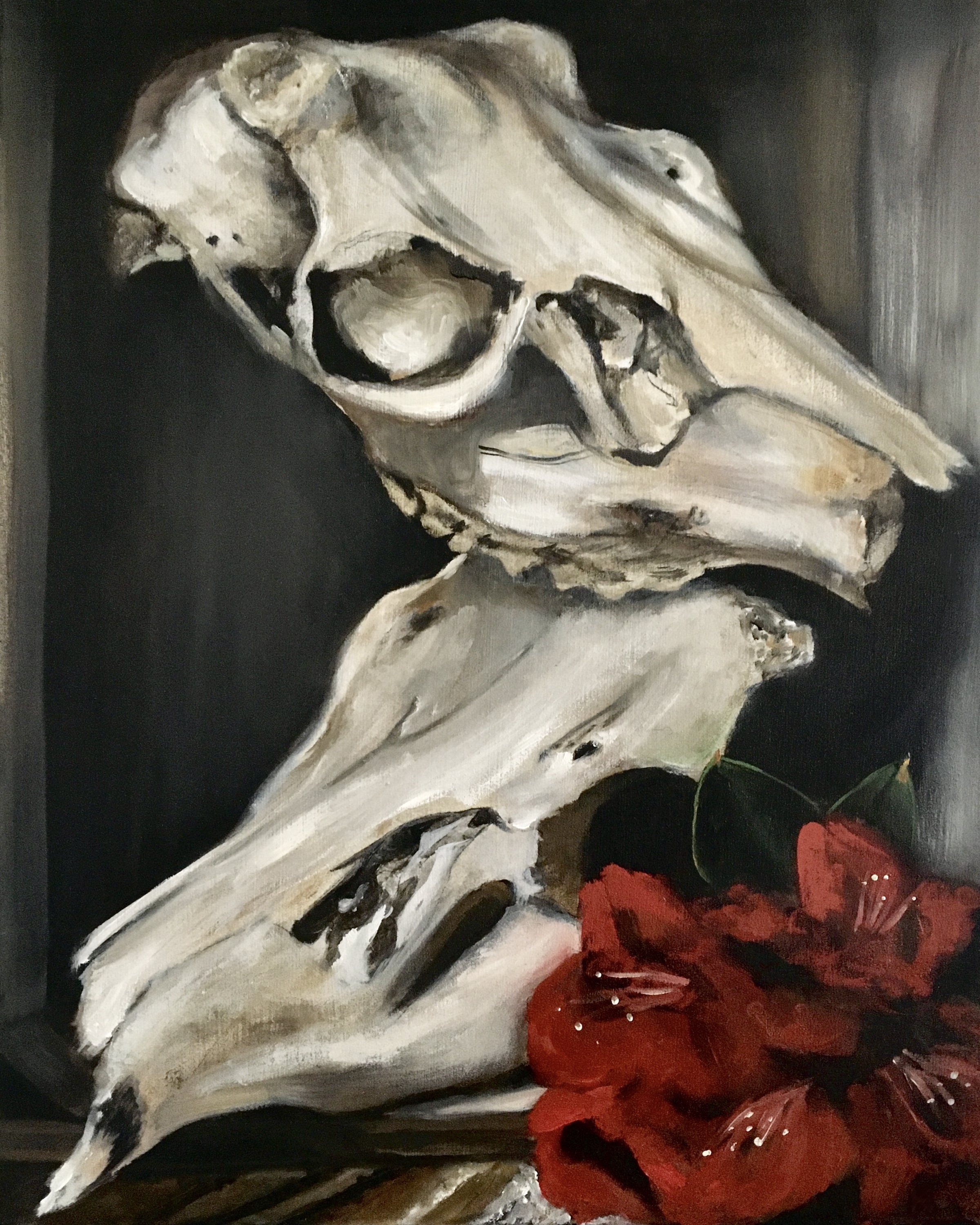 Deer Skulls & Rhododendron