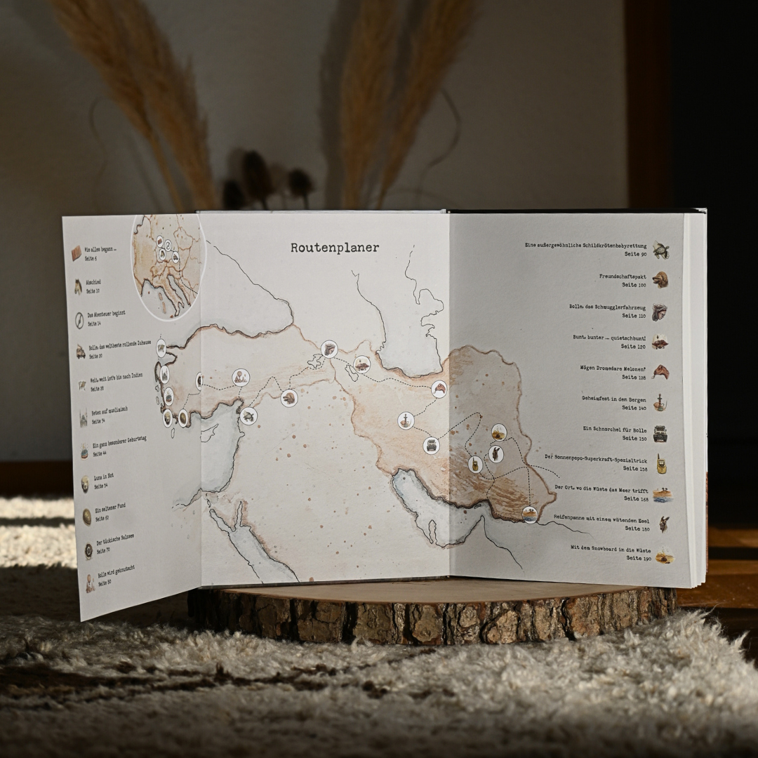 "Mit dem Snowboard in die Wüste" Kinderbuch