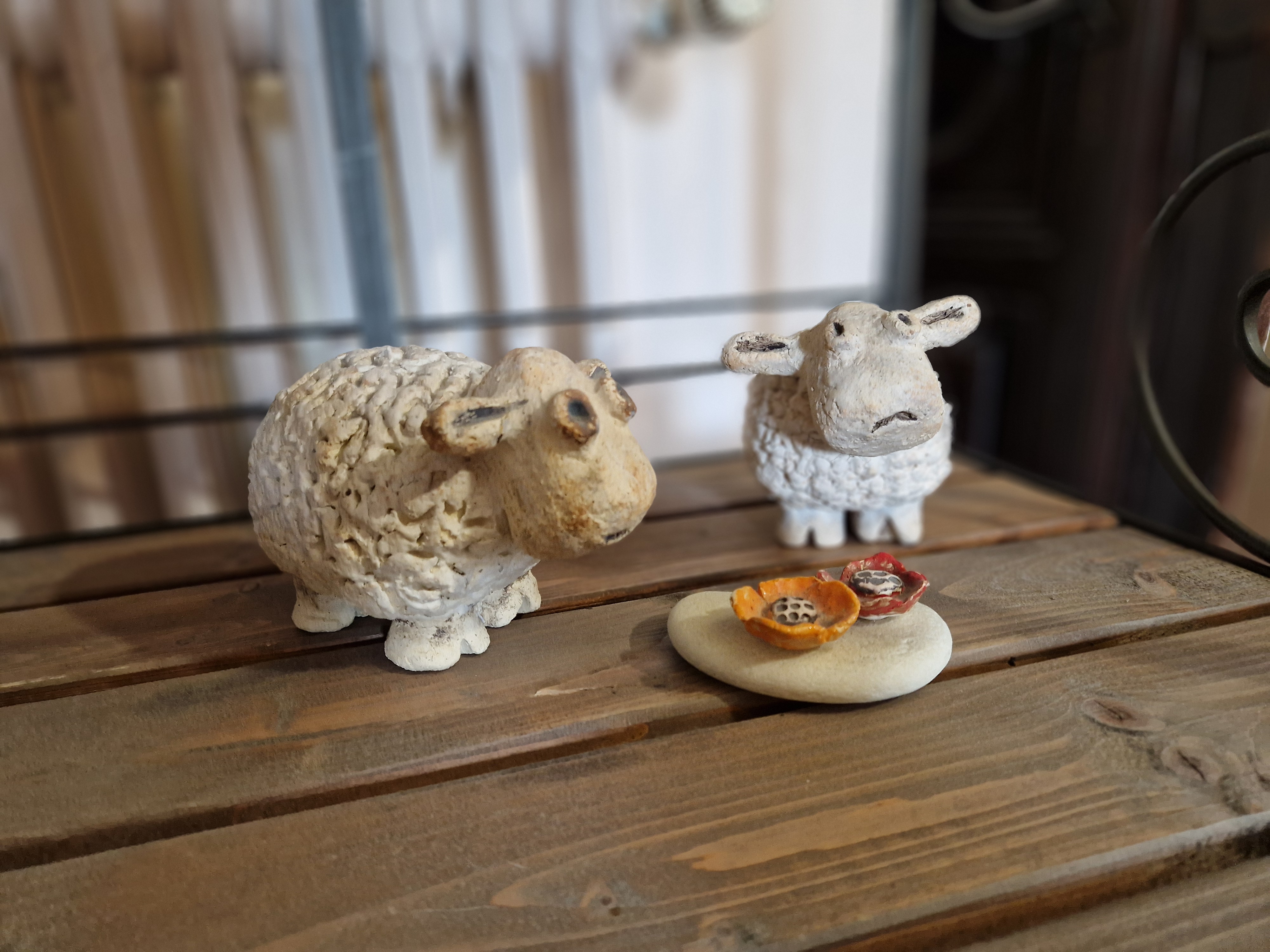 Séance Parent/Enfant 90€ pour 2 personnes ou 45€ enfant seul