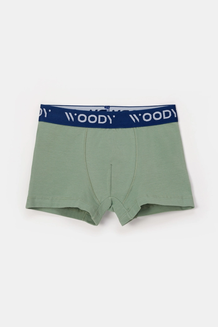 Woody duopack boxershorts lieveheersbeest/kaki 251-10-CLD-Z/012