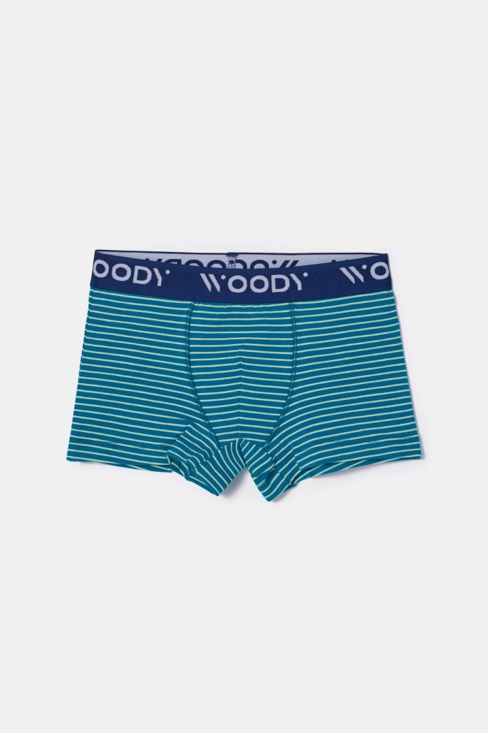 Woody duopack boxershort groenblauw/gestreept 252-10-CLD-Z/021