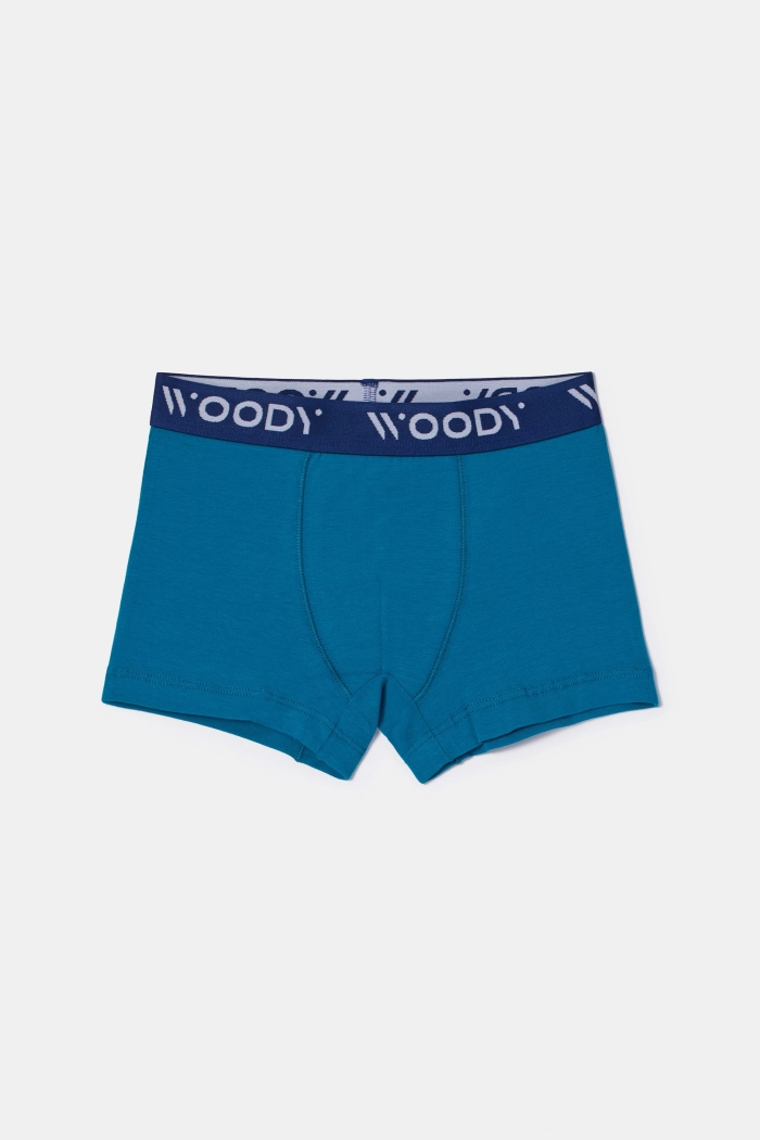 Woody duopack boxershort groenblauw/gestreept 252-10-CLD-Z/021