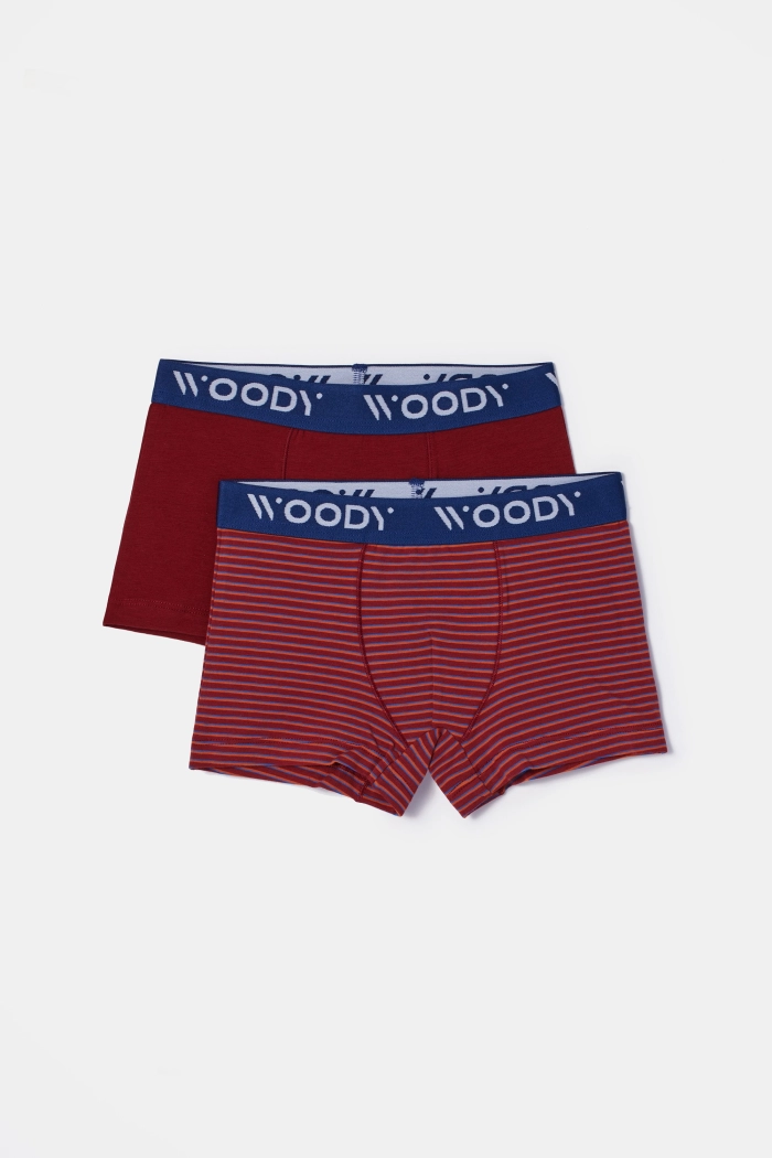 Woody duopack boxershort bordeaux/gestreept 252-10-CLD-Z/031