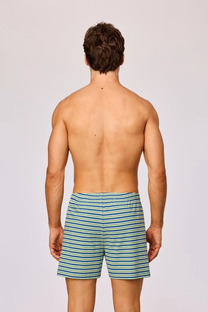 Woody boxershort gestreept groen/blauw 261-10-QLB-Z/908