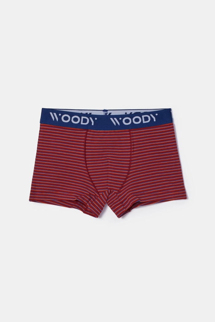 Woody duopack boxershort bordeaux/gestreept 252-10-CLD-Z/031