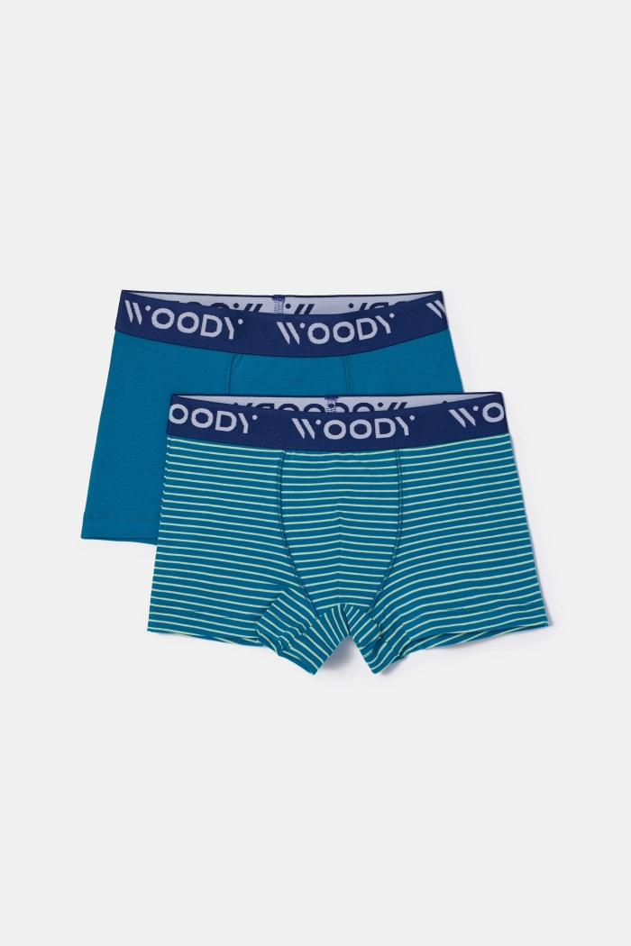 Woody duopack boxershort groenblauw/gestreept 252-10-CLD-Z/021