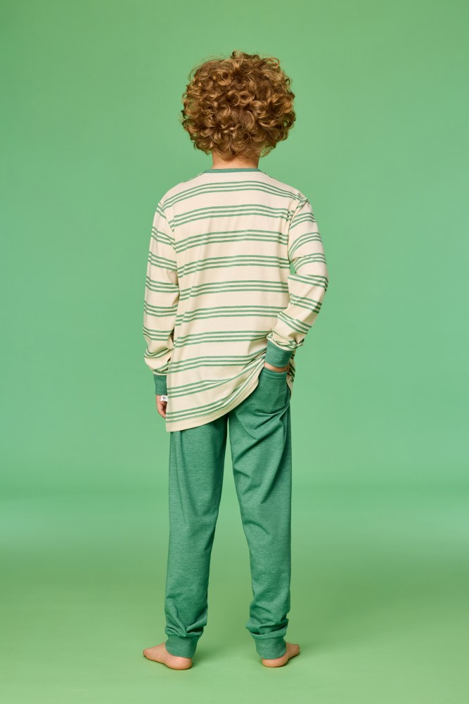 Woody pyjama kameleon gestreept groen 261-10-PLC-S/909