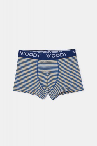 Woody duopack boxershort gestreept/blauw 252-10-CLD-Z/011