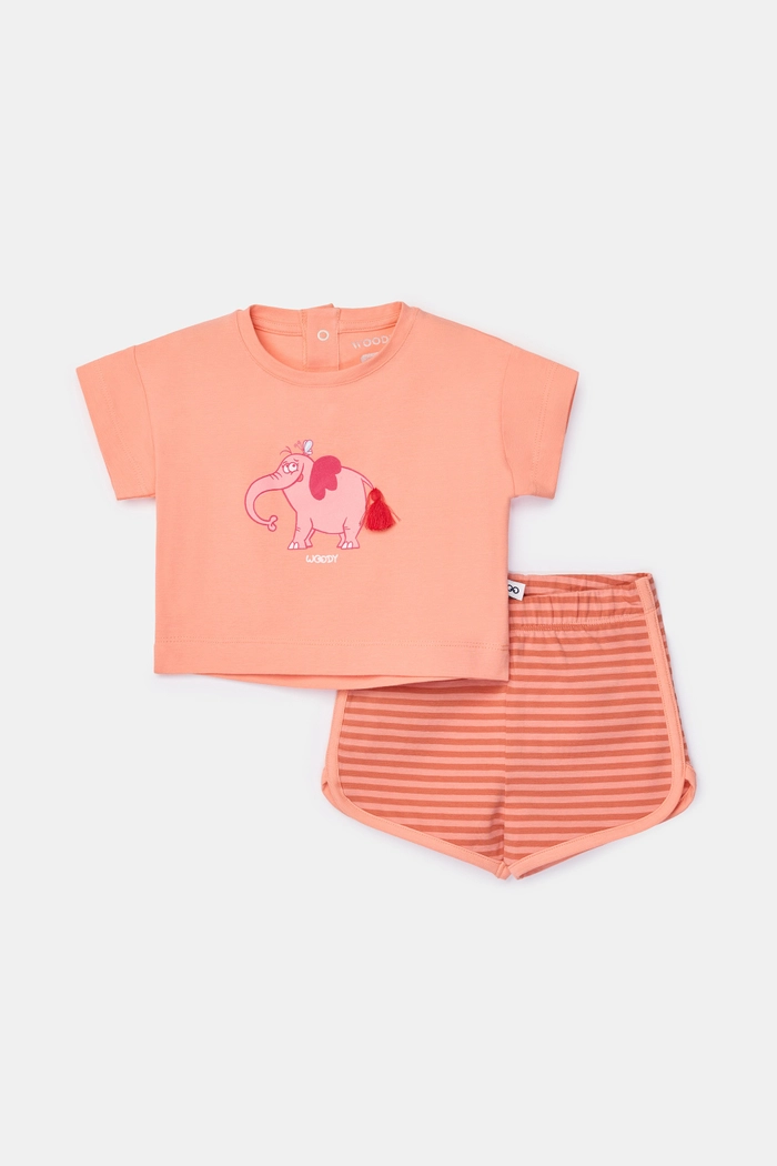 Woody shortama olifant perzikoranje 261-10-PZG-Z/506