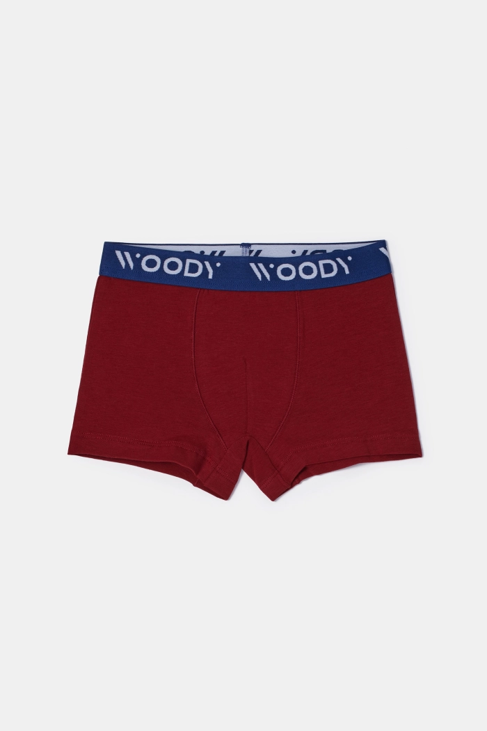 Woody duopack boxershort bordeaux/gestreept 252-10-CLD-Z/031