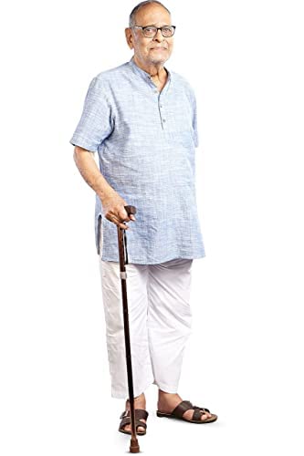 Foldable walking cane (Mobi-Aid brand)