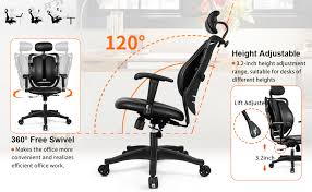 Orthopaedic Office Chair