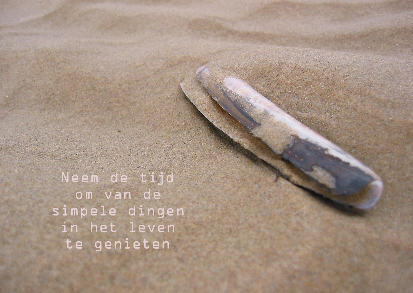 Neem de tijd om van de simpele dingen in het leven te genieten