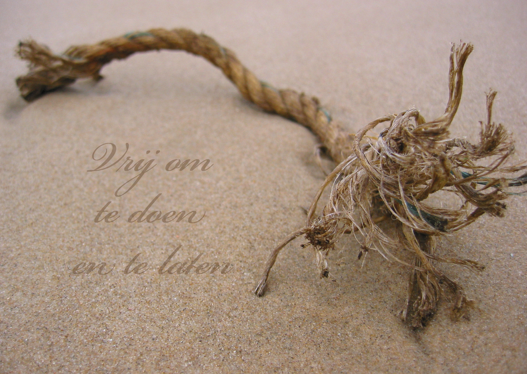 Vrij om te doen en te laten