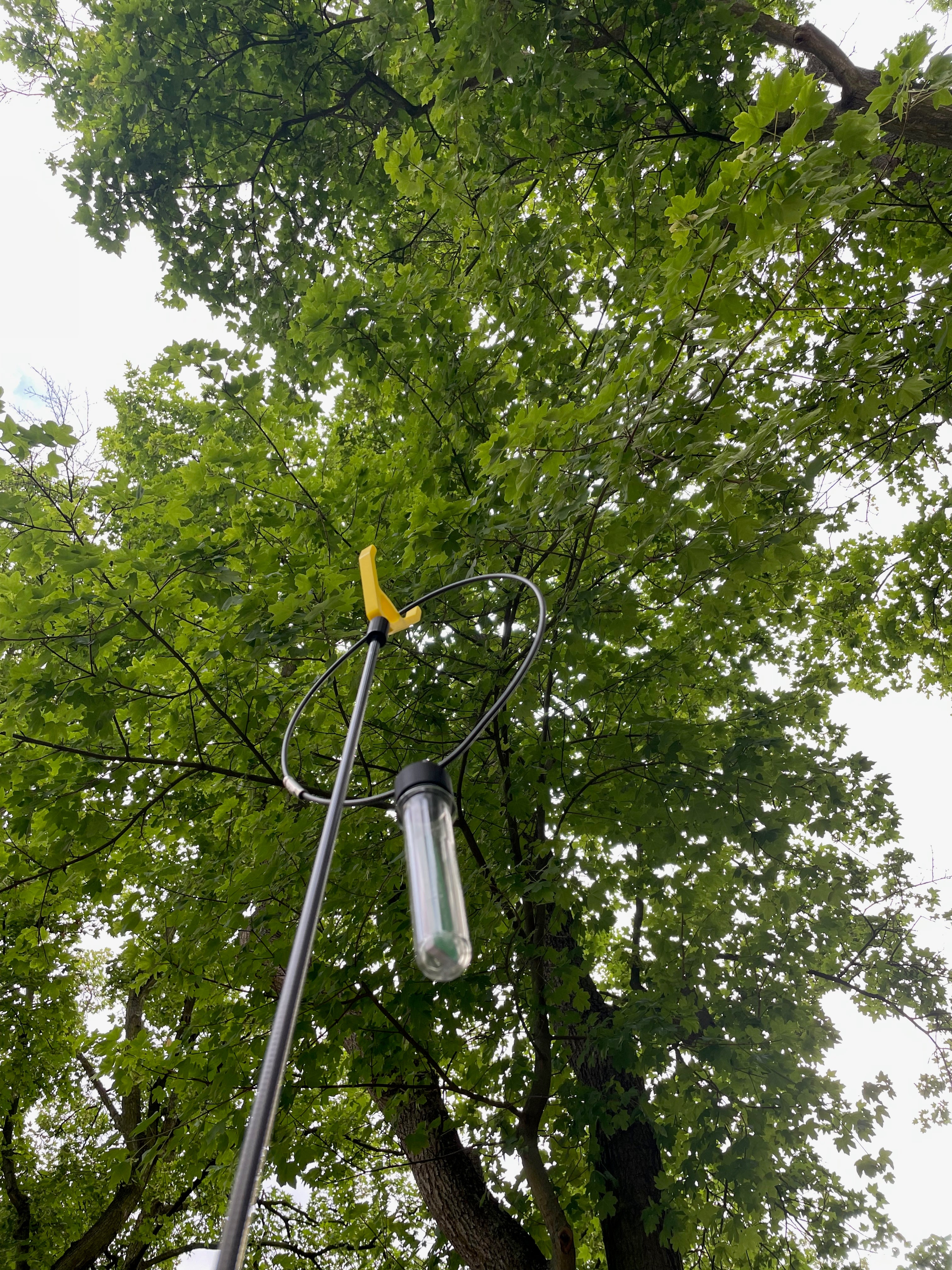 Angel Cache
