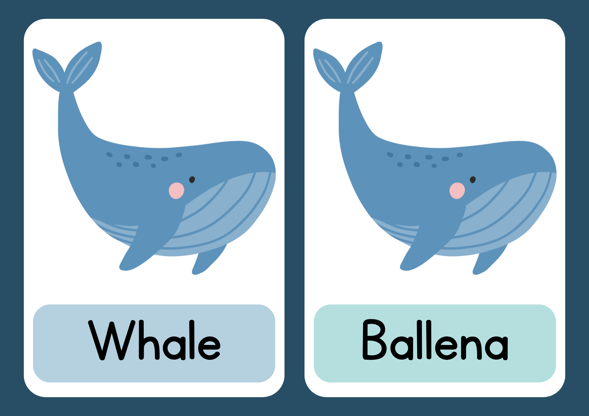 Sea Animals Bilingual Flashcards (English & Spanish) – 12 Printable Cards