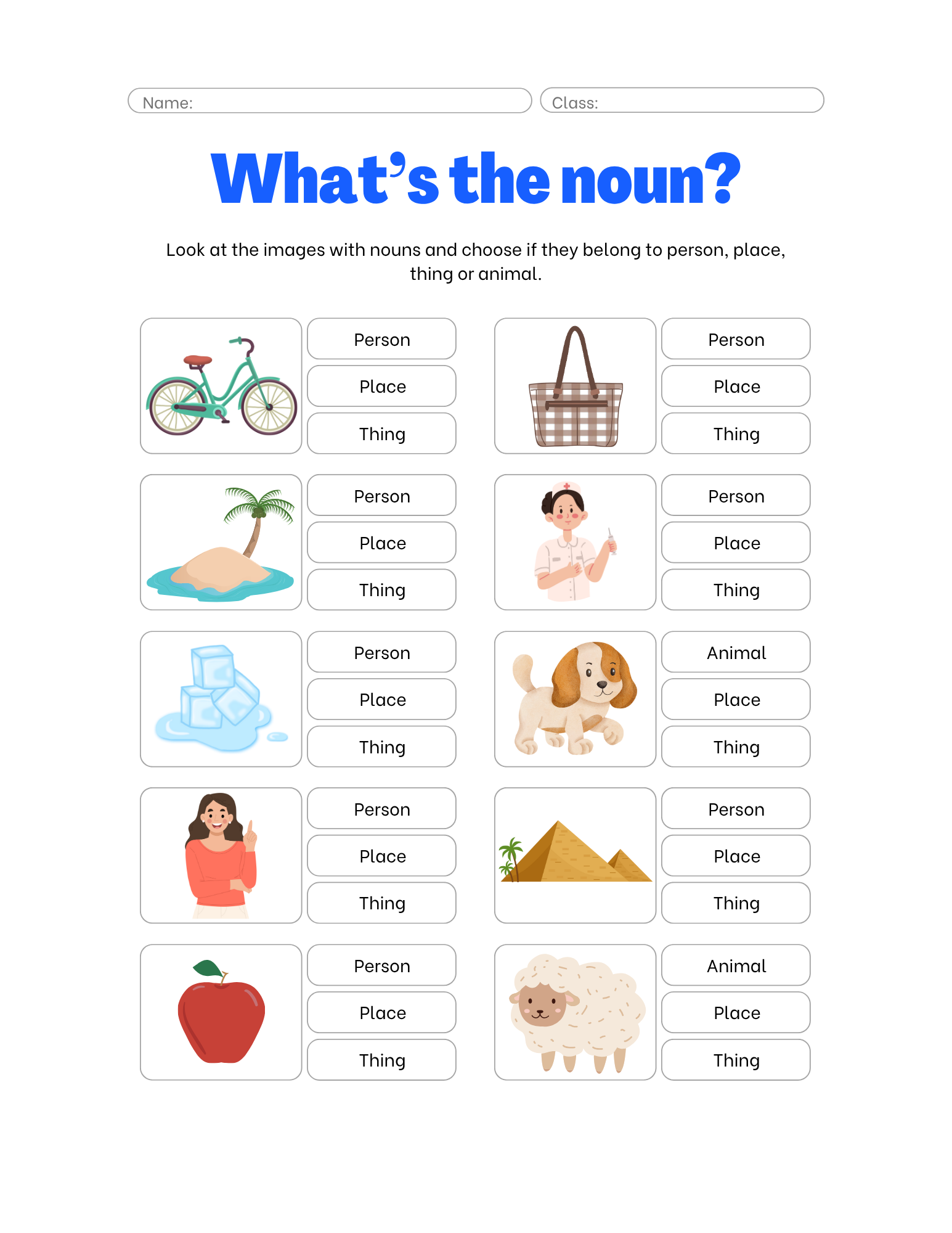 What's the noun? Worksheet