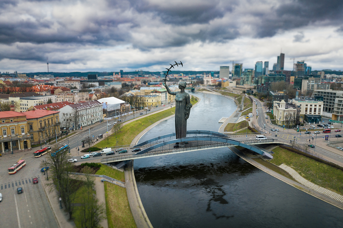 Mindaugo tilto kregždutės