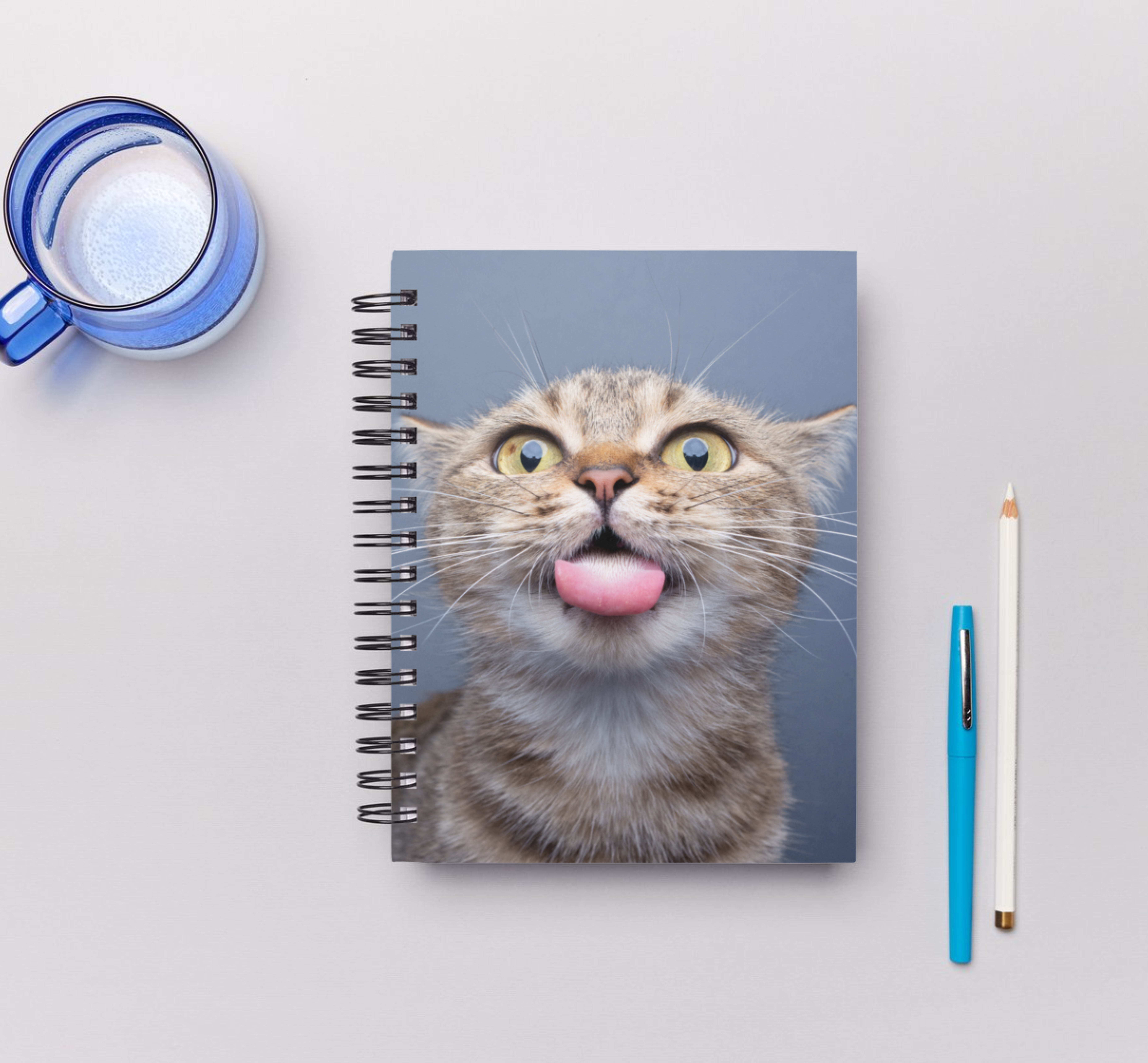 Cat Spiral Notebook