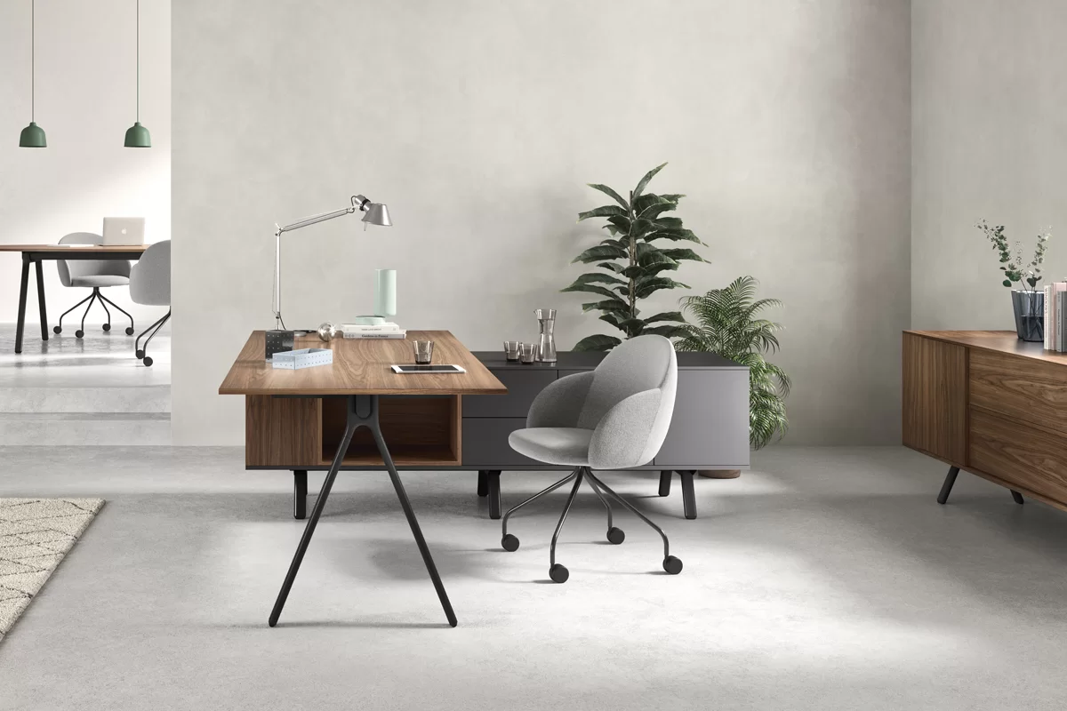 Bureau de Direction LAY