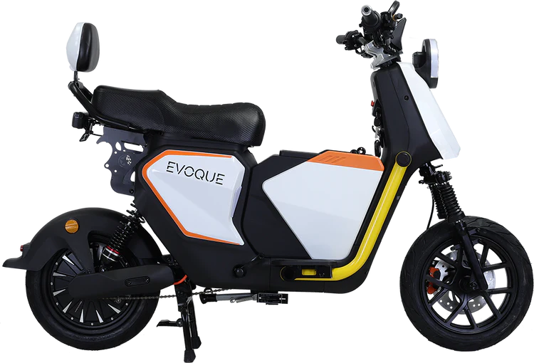 Stinger Removable Lithium