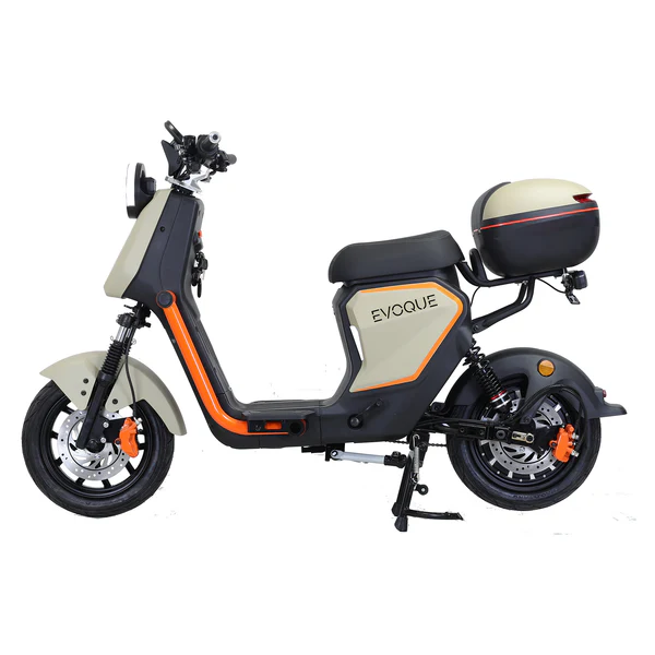 Stinger Plus Removable Lithium