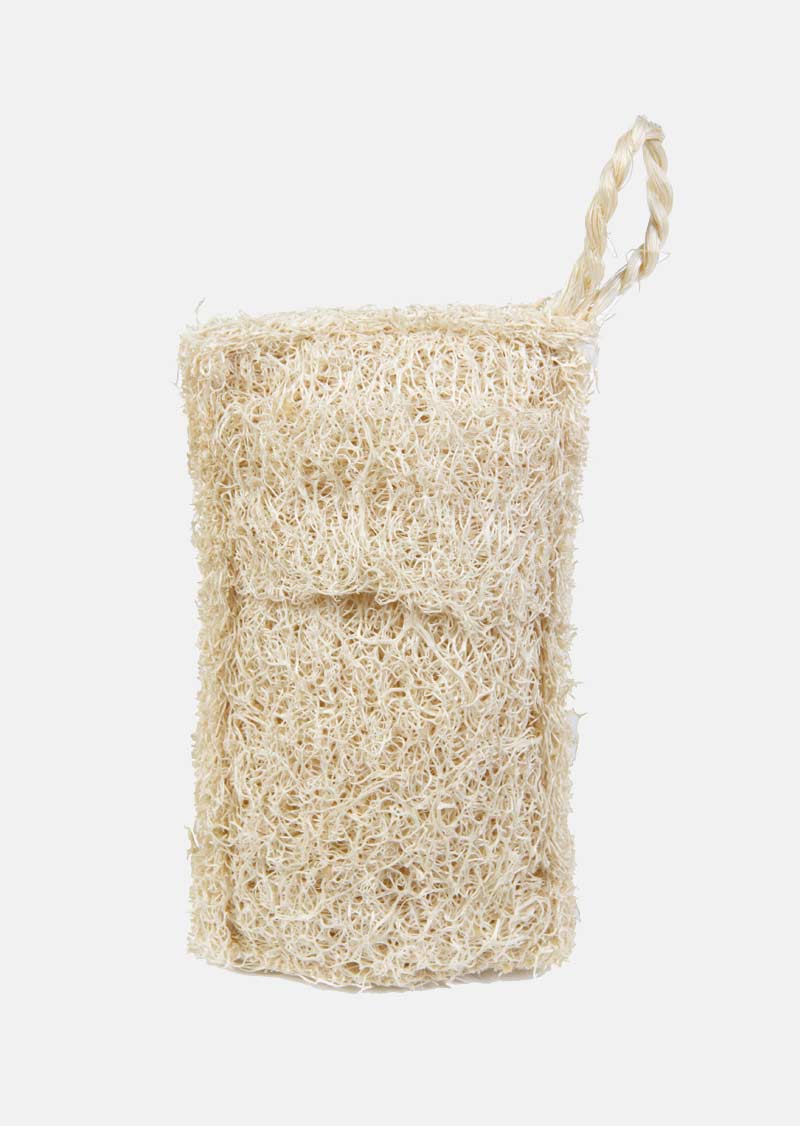 Eponge Vaisselle en Luffa