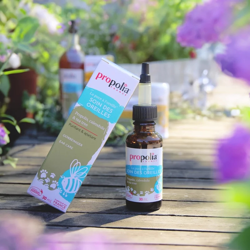 Soin "La puce à l'oreille"