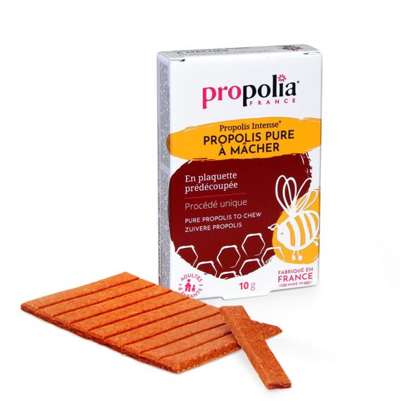Propolis Pure à mâcher