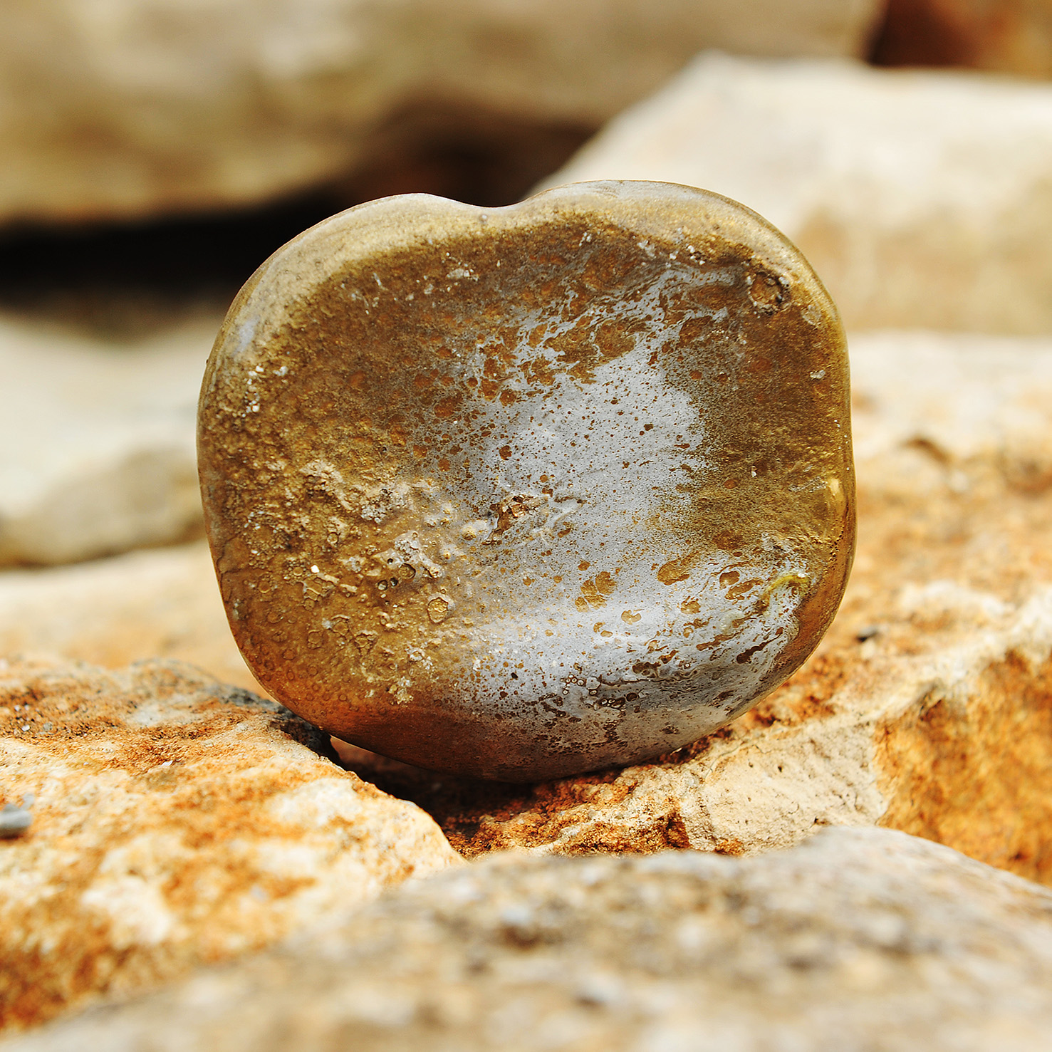 Buste de femme White & Gold