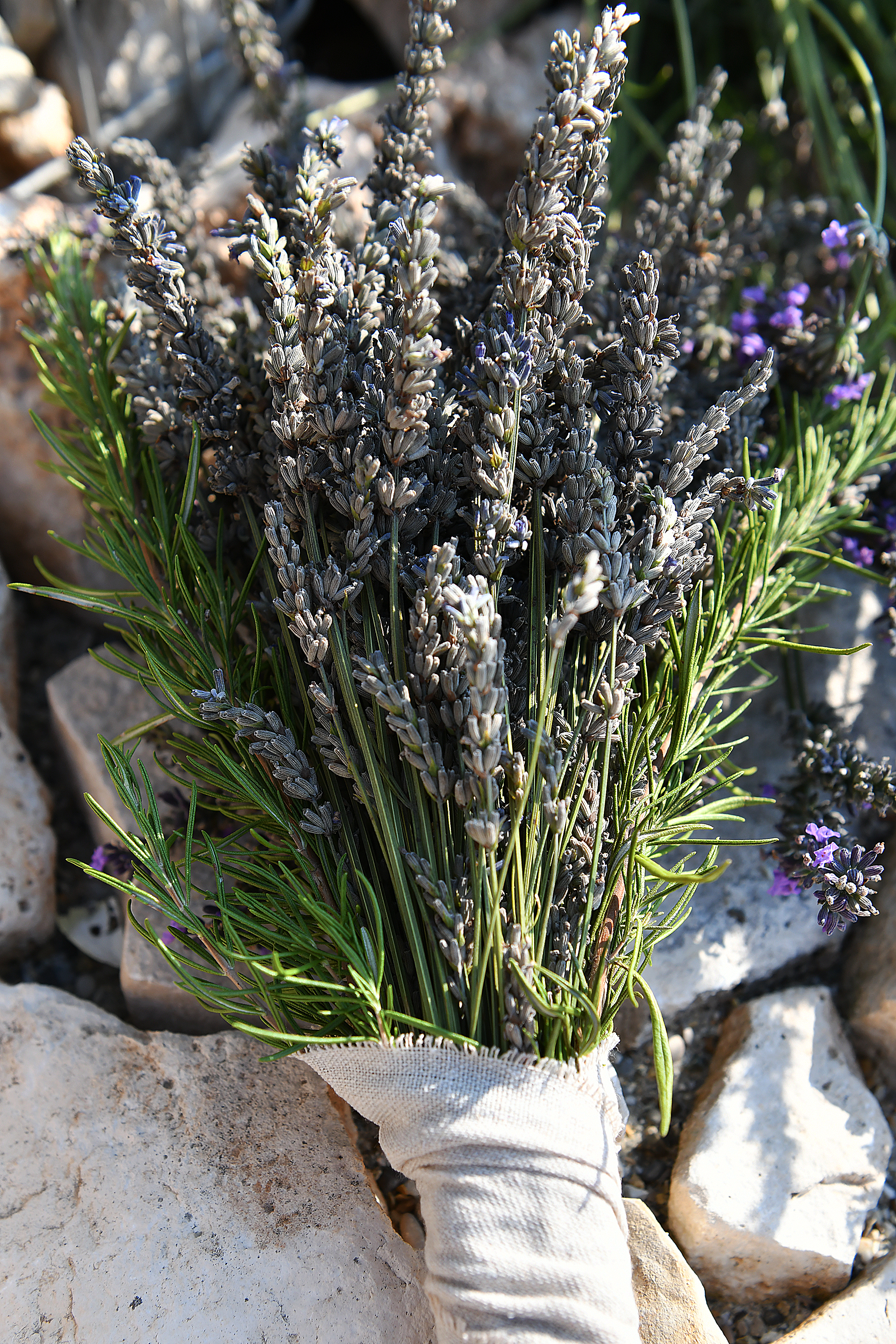 Bouquet de Lavande Séchée & Romarin