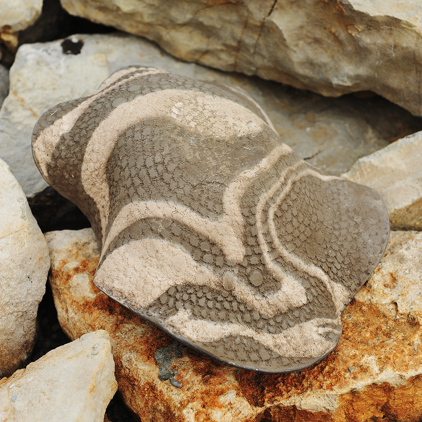 Coupelle Texturée & Abstraite