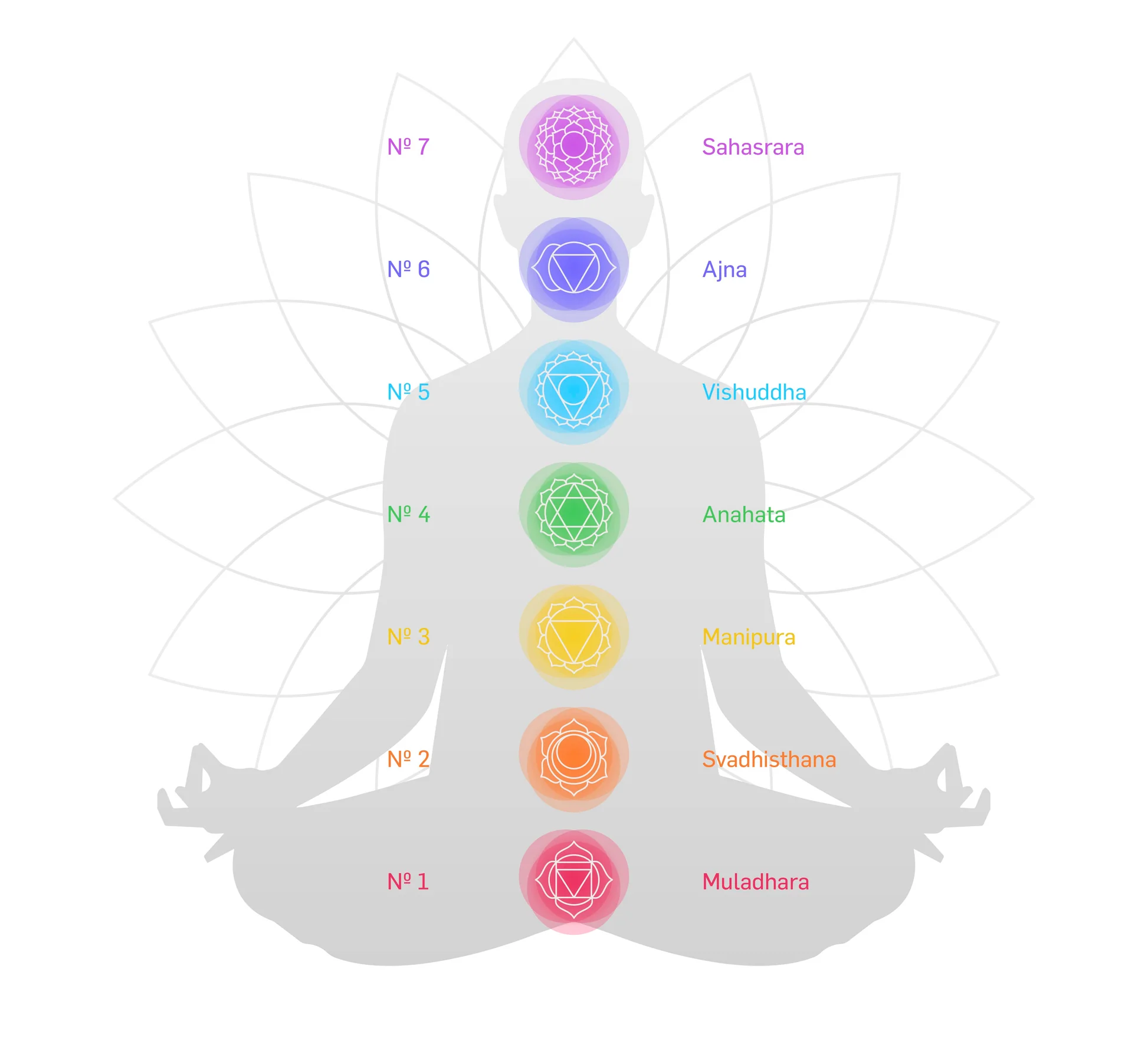 Sauge Blanche "7 Chakras"