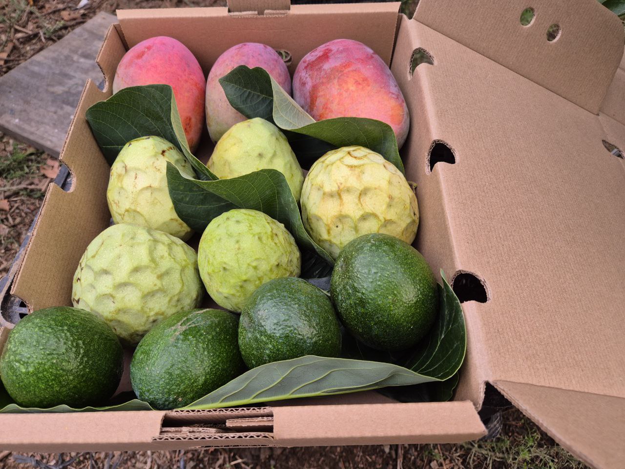 Caja de frutas tropicales