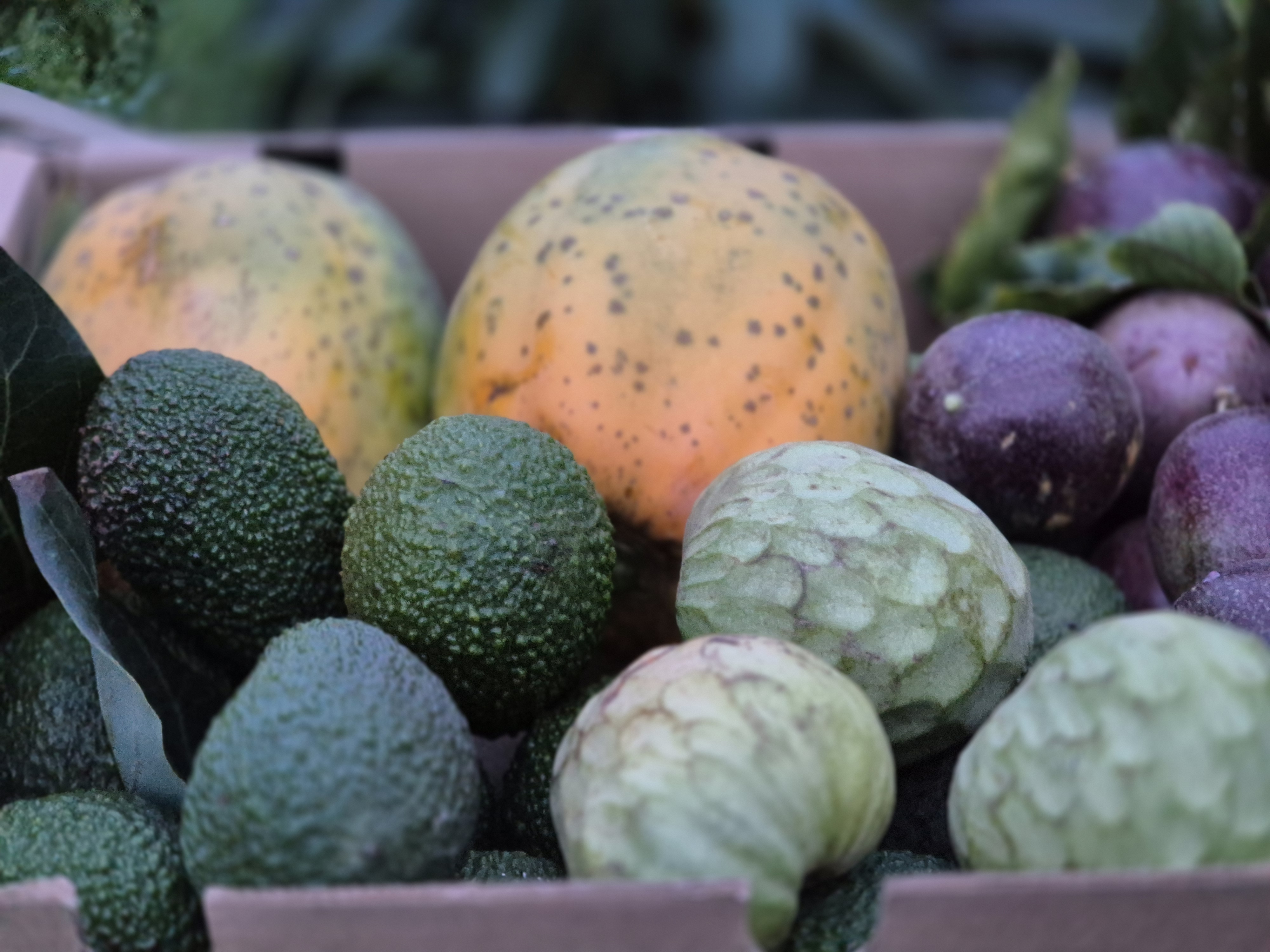 MIX FRUTA TROPICAL DE TEMPORADA 