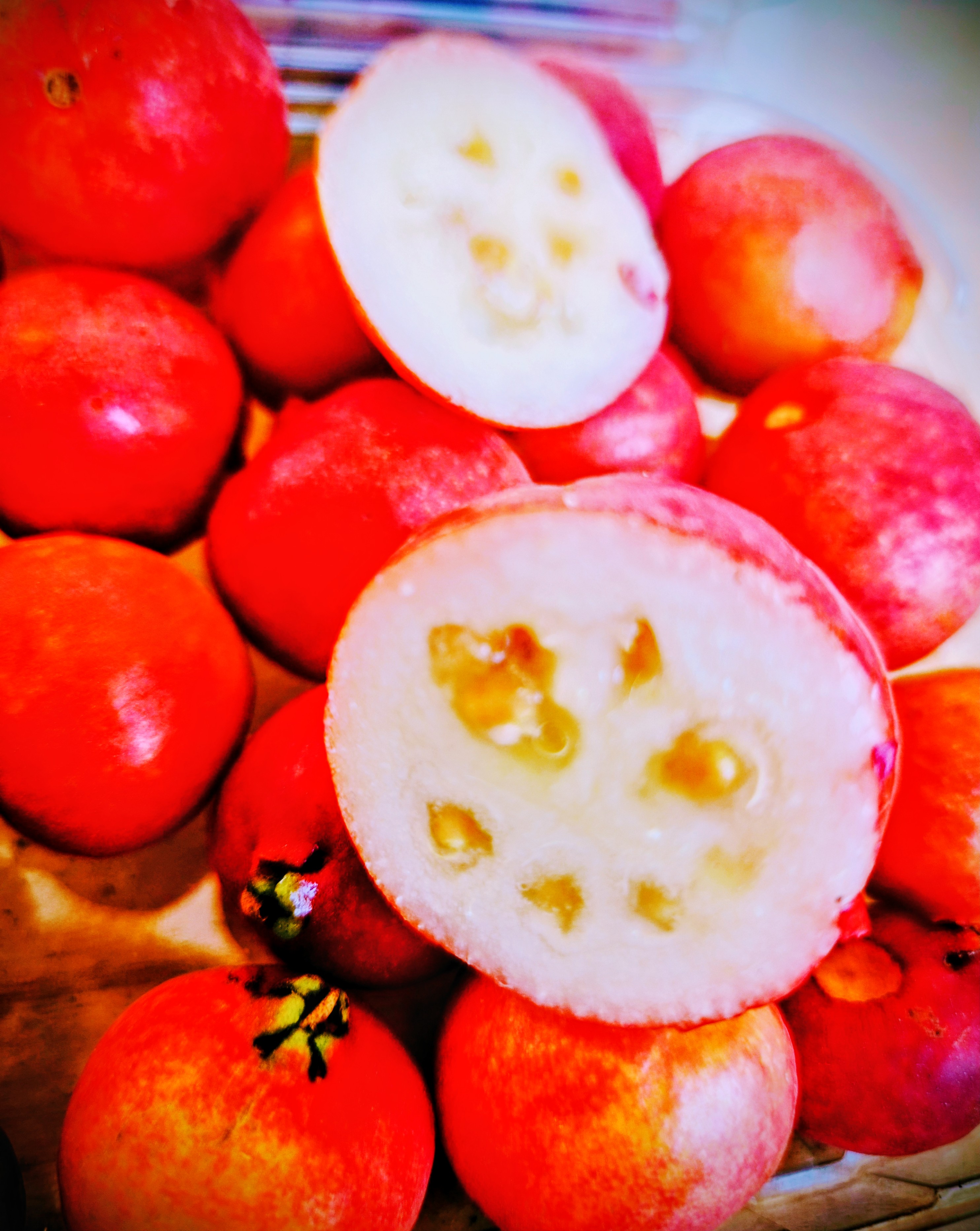 Mango Osteen 