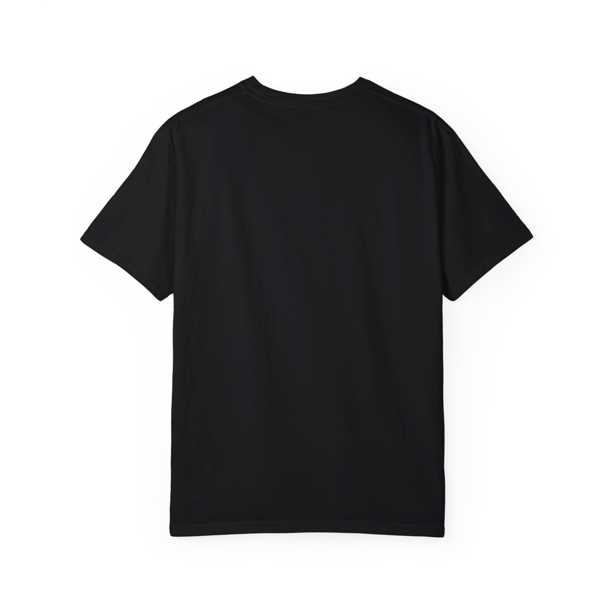 ARMW24 Black Unisex Garment-Dyed T-shirt