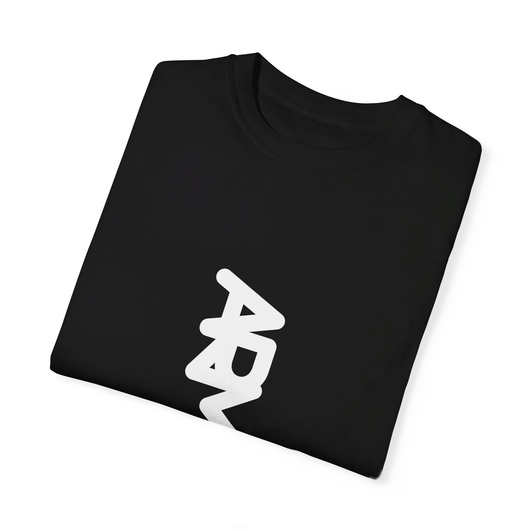 ARMW24 Black Unisex Garment-Dyed T-shirt