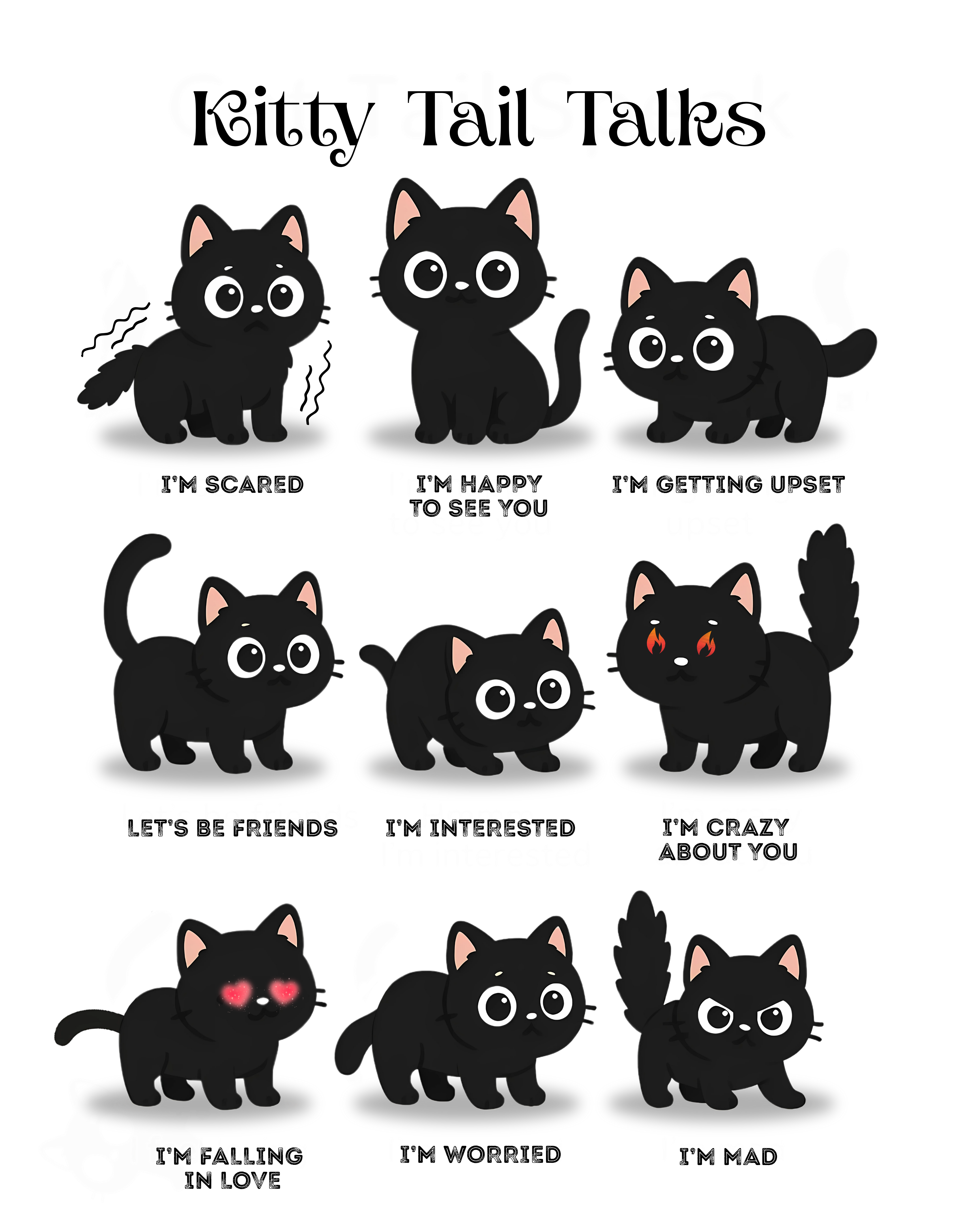 Kitty Tail Talks