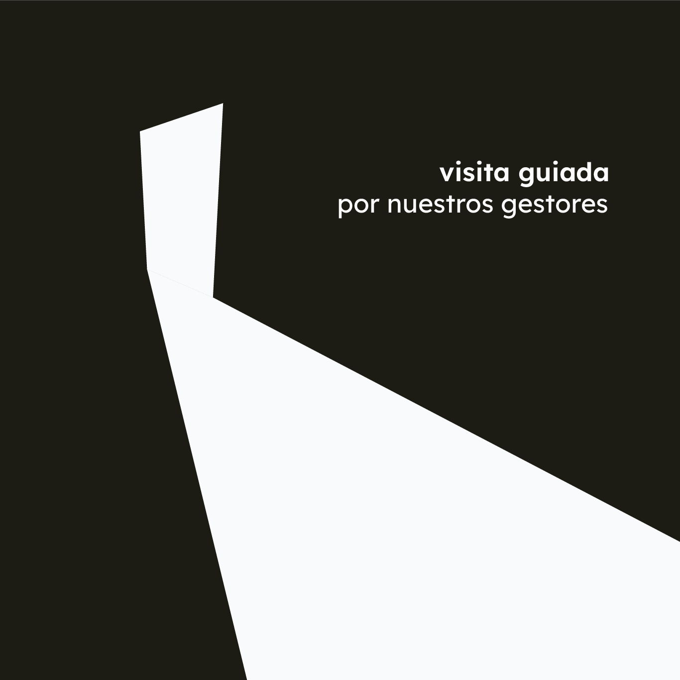 Visita Guiada