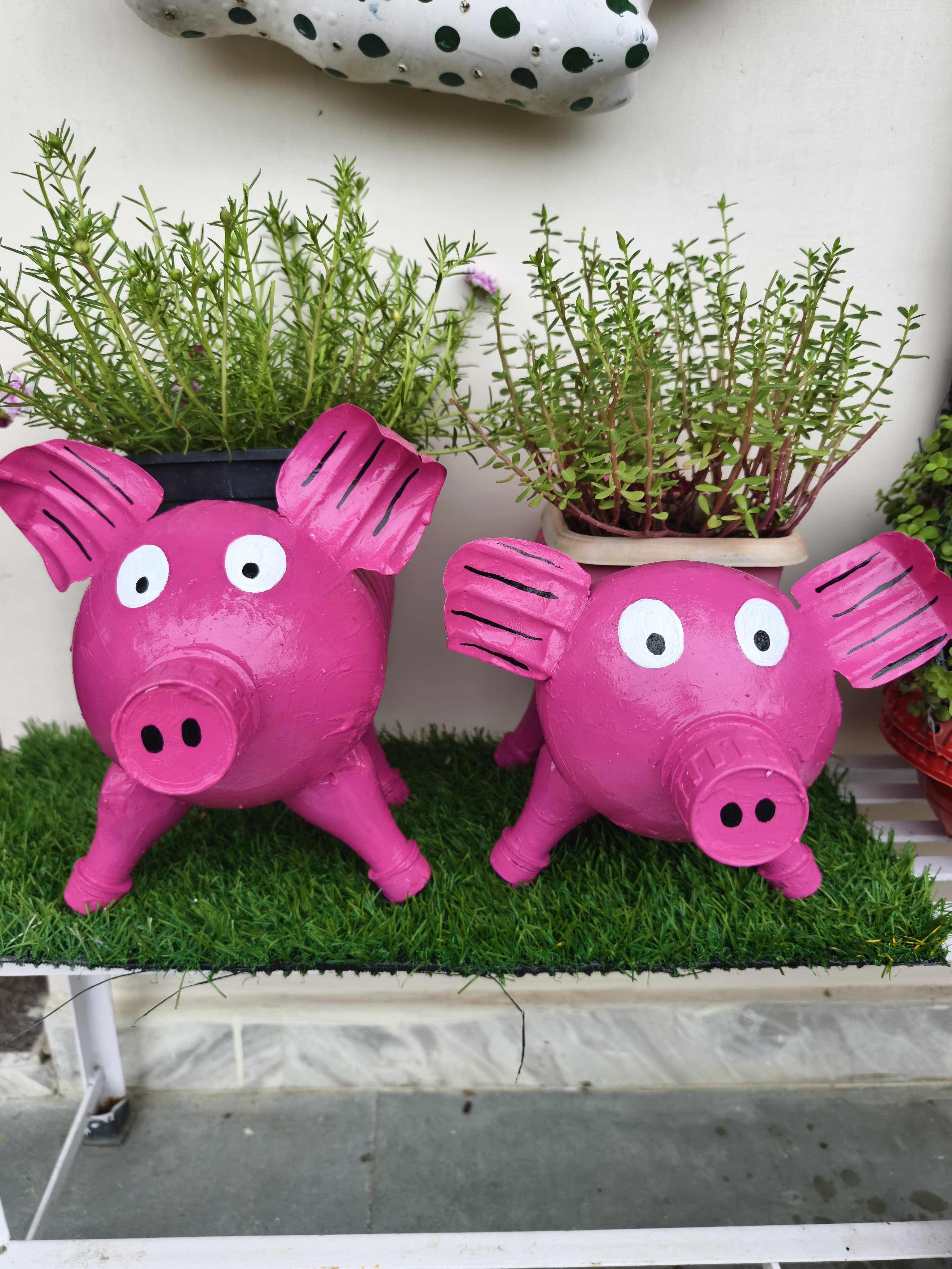 Pig Planter