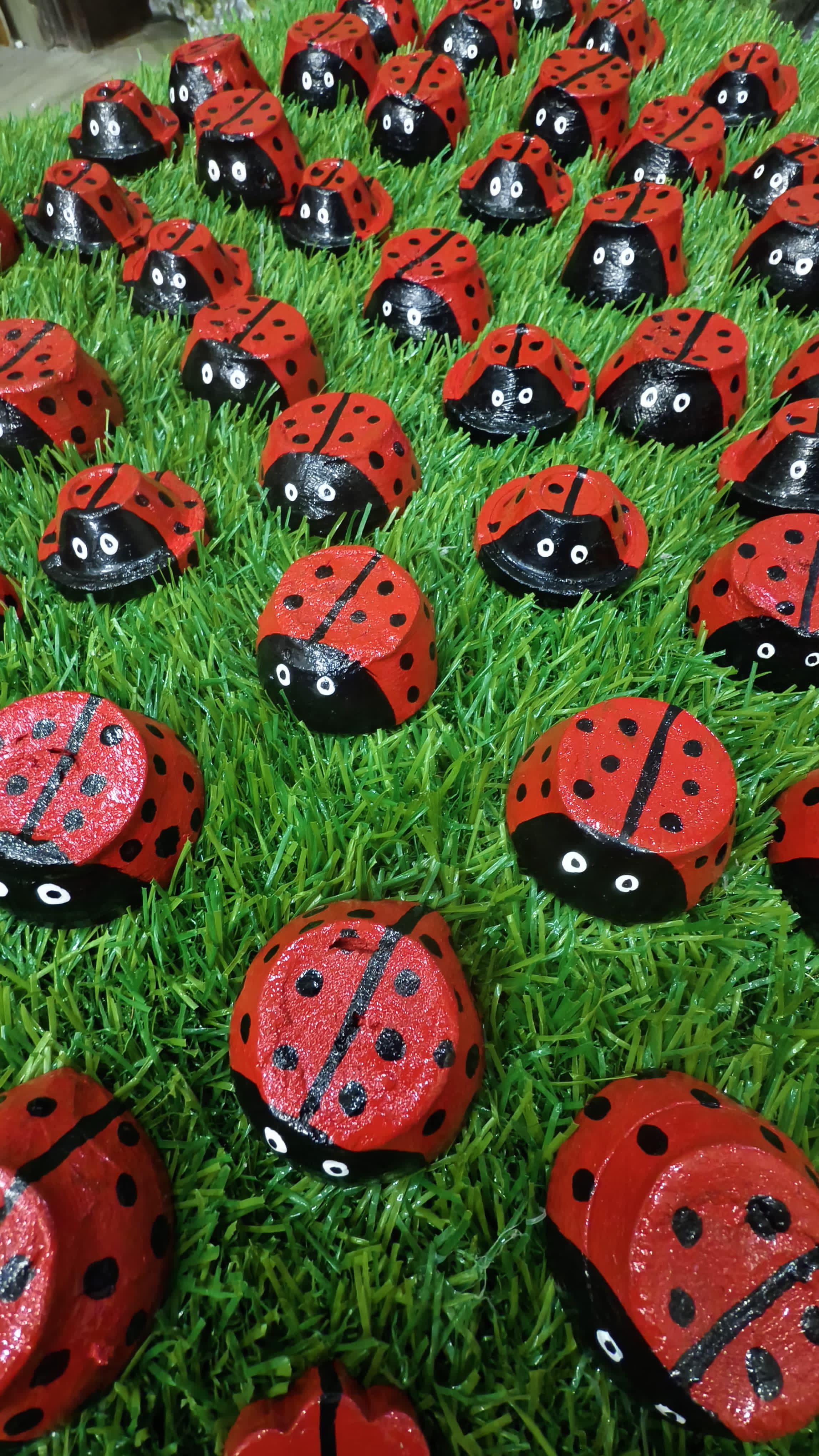 Lady Bug
