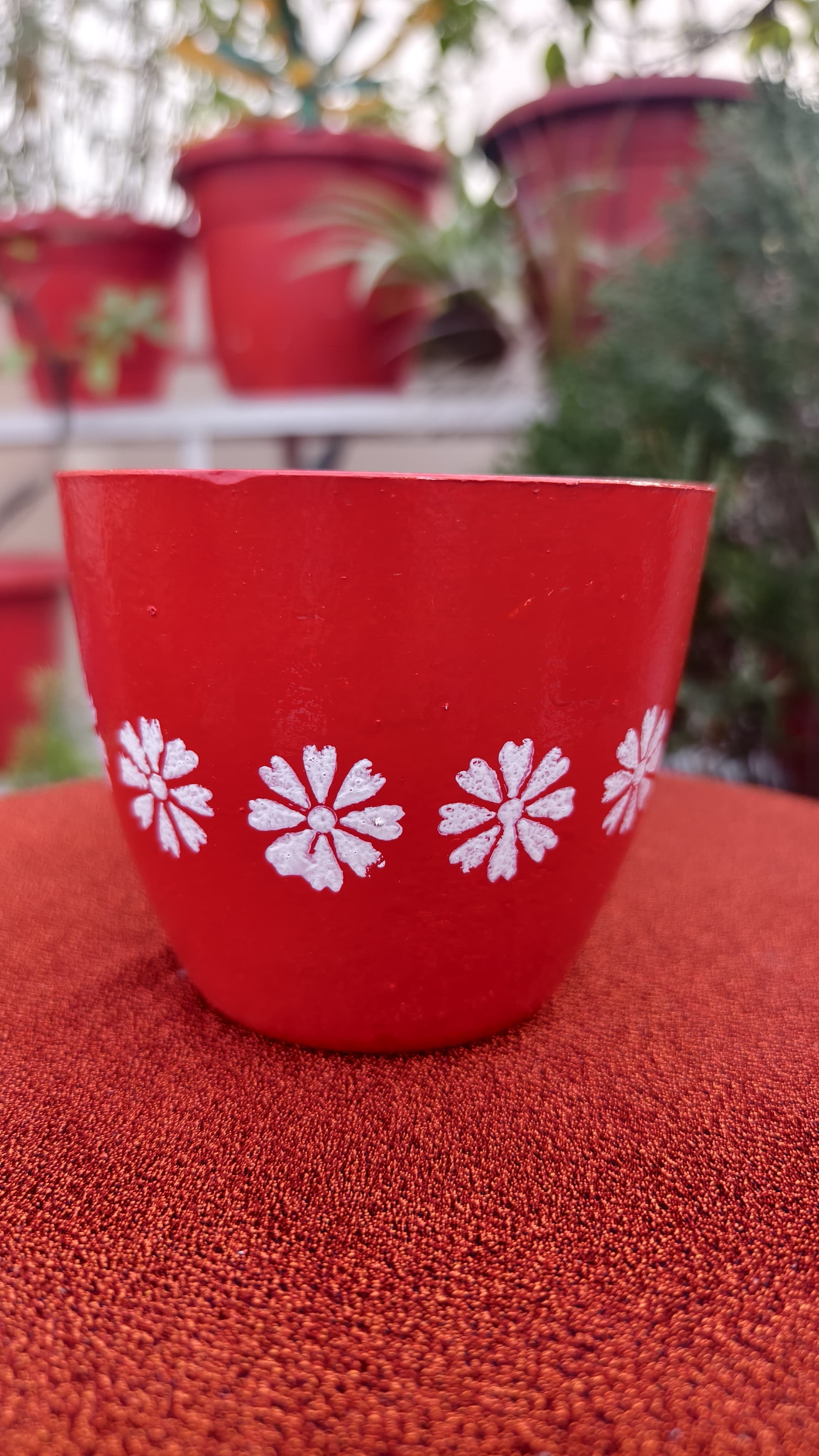 Red and White Gift Planter (5 inches)