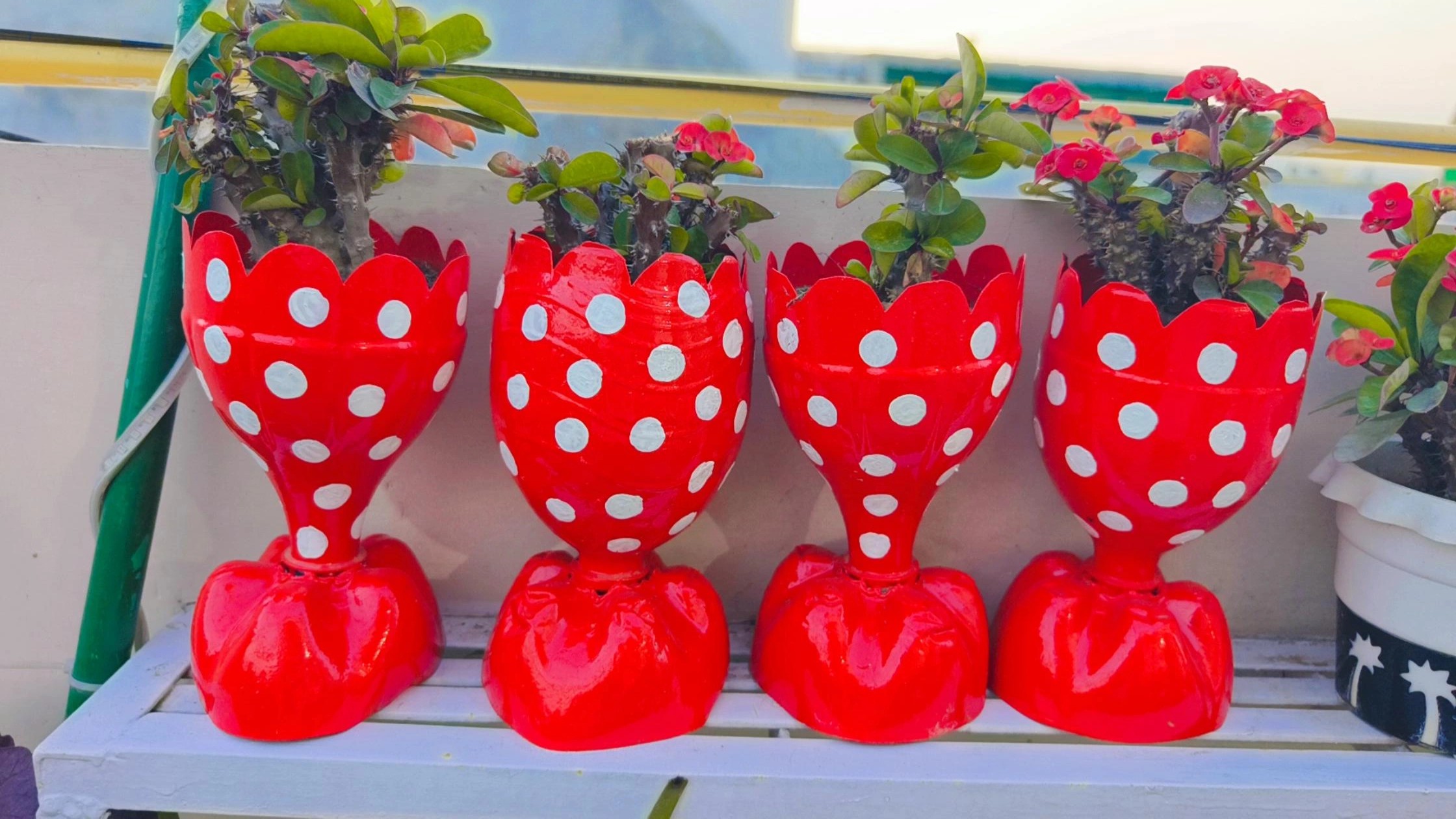 Vase Planter