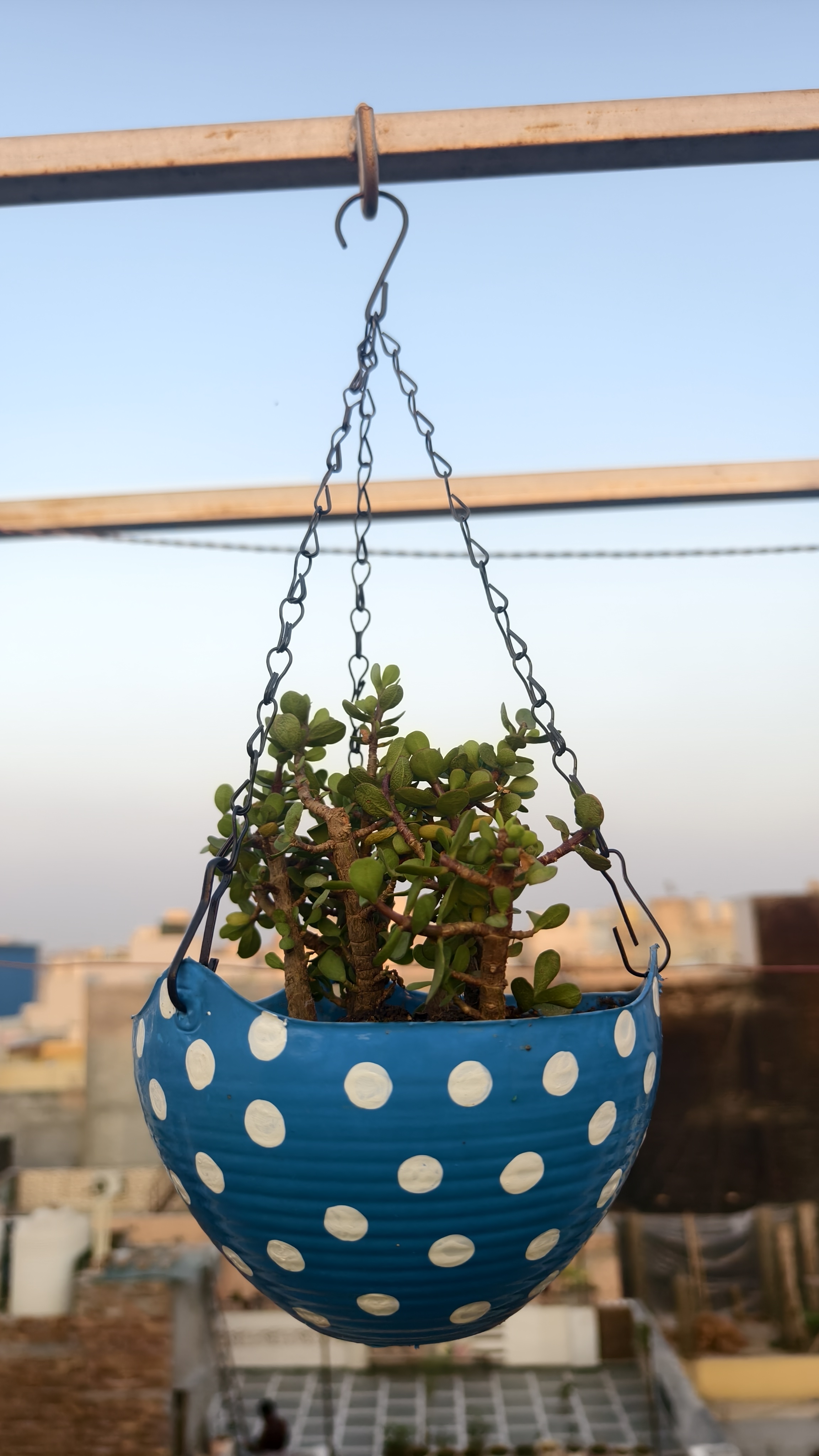 Basket (Polka Dot) 8 inches